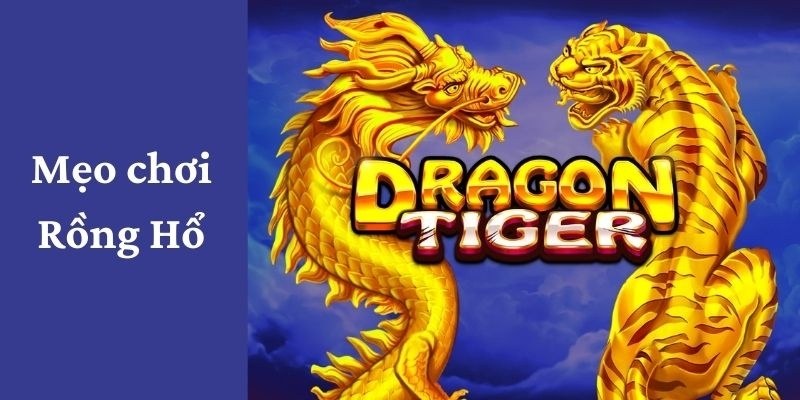 Mẹo Chơi Rồng Hổ 77WIN - Trọn Bộ Bí Kíp Tham Gia Bất Bại