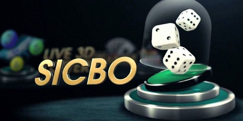 Mẹo chơi Sicbo 77WIN hiệu quả cùng soi cầu