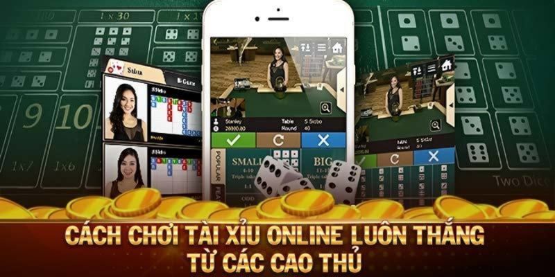 Mẹo Chơi Tài Xỉu 77WIN Luôn Thắng - Tổng Hợp Bí Kíp Bất Bại