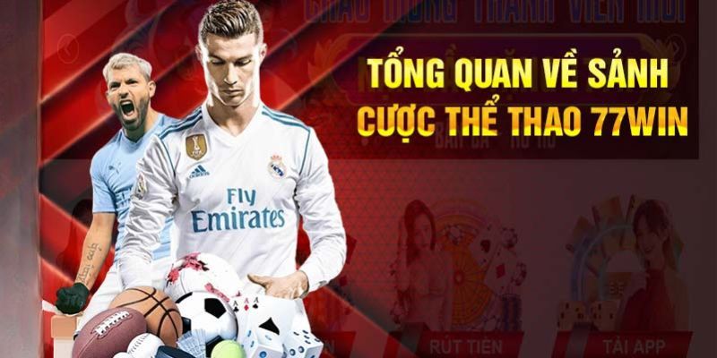 Giới thiệu vài nét về sảnh Sports 77Win